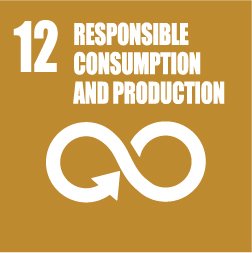 SDG 12@3x-100